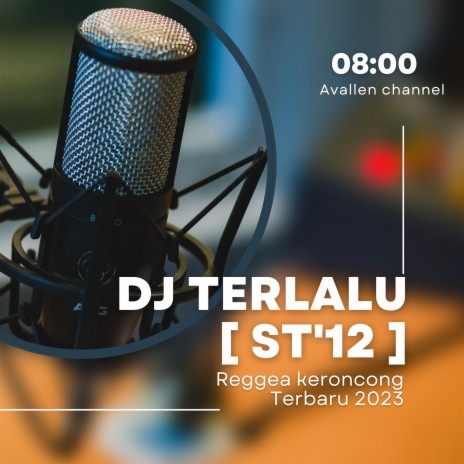 DJ Terlalu | Boomplay Music