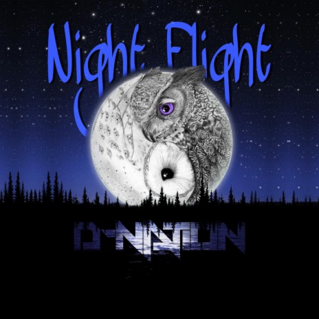 Night Flight | Boomplay Music