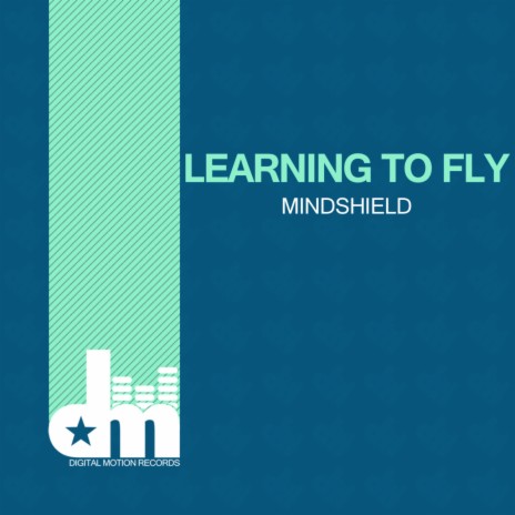 Learning To Fly | Boomplay Music
