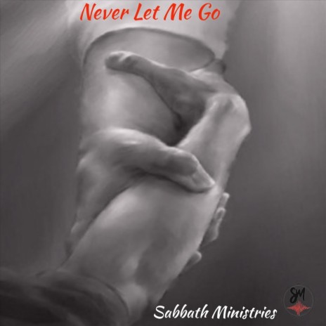 Never Let Me Go | Boomplay Music