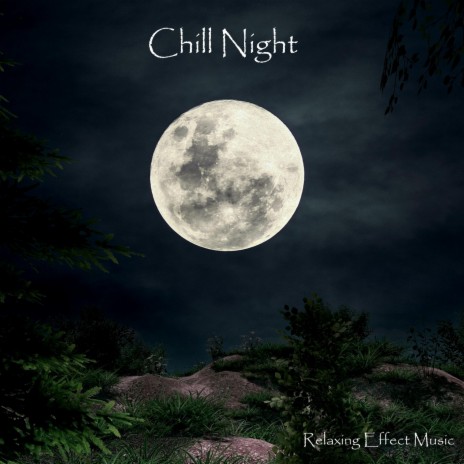 Chill Night | Boomplay Music
