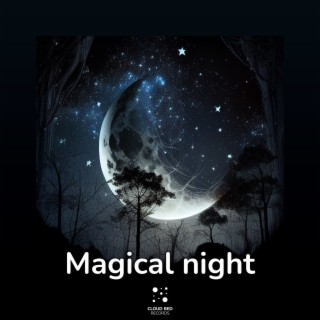 Magical Night