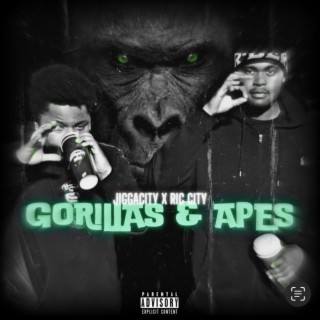Gorillas & Apes