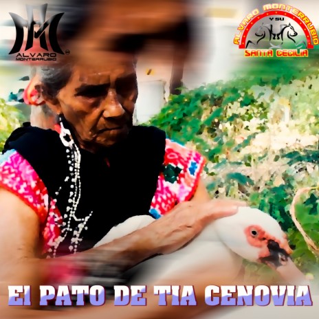 El Pato de Tia Cenovia | Boomplay Music