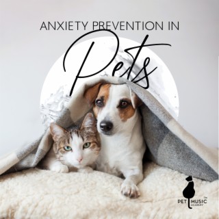 Anxiety Prevention in Pets: Relaxing Music Designed for Pets, Anti Stress Therapy, Animal Reiki