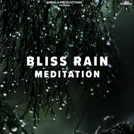 Bliss Rain Meditation | Boomplay Music