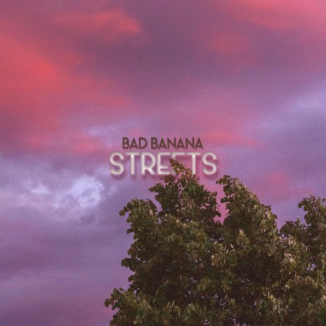 Streets | Boomplay Music