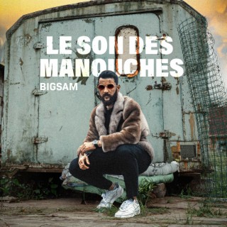 Le son des manouches