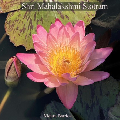 Shri Mahalakshmi Stotram