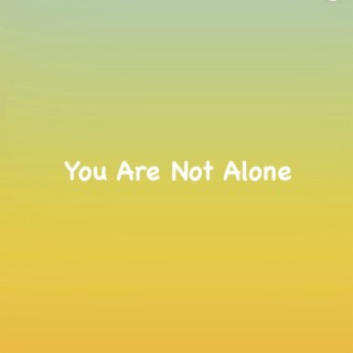 You Are Not Alone ft. Vung Hoih lyrics | Boomplay Music