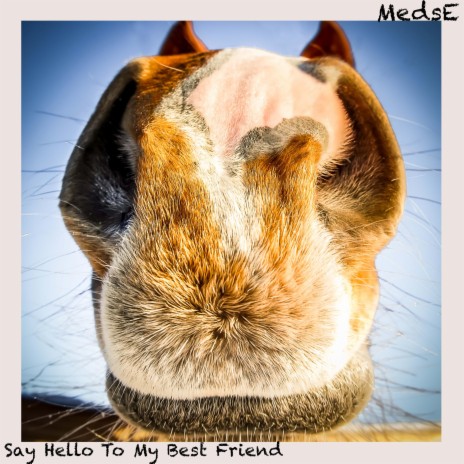 Say Hello To My Best Friend | Boomplay Music