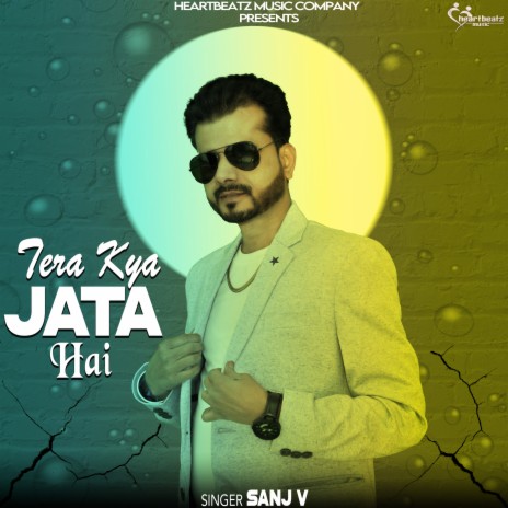 Tera Kya Jata Hai | Boomplay Music