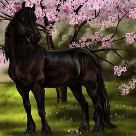 Black Horse And The Cherry Tree | Boomplay Music