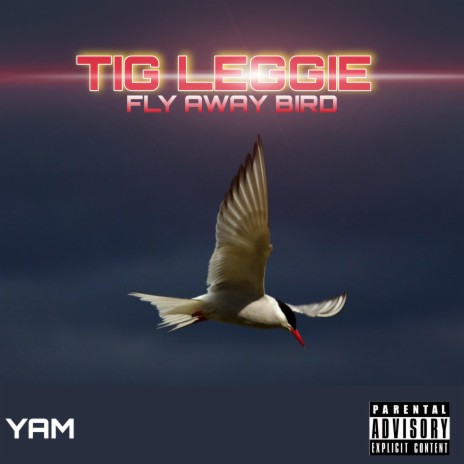 FLY AWAY BIRD | Boomplay Music