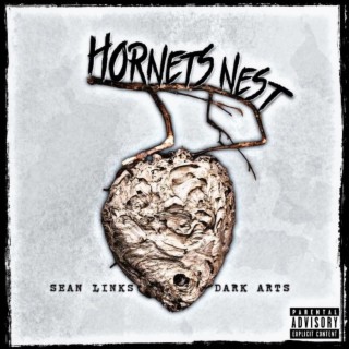 Hornets Nest