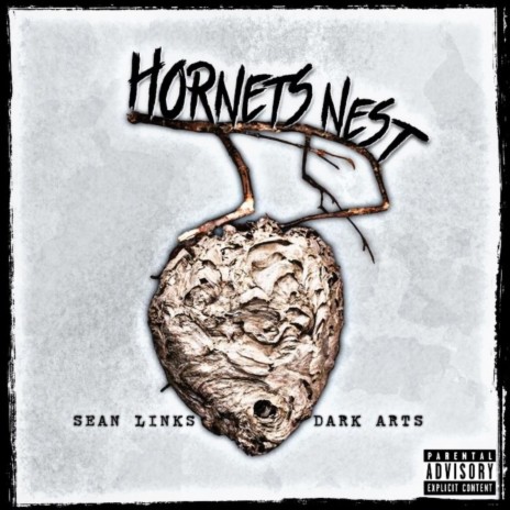 Hornets Nest ft. Dark Arts | Boomplay Music