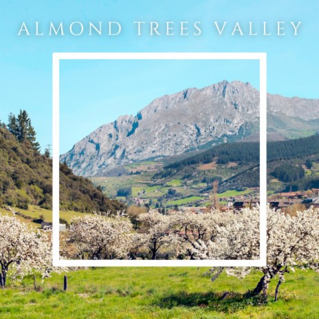 Almond Trees Valley