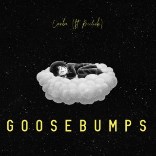 Goosebumps ft. Priilick lyrics | Boomplay Music