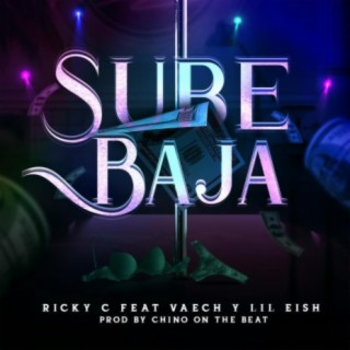 Sube Baja (feat. Lil Eish & Vaech)