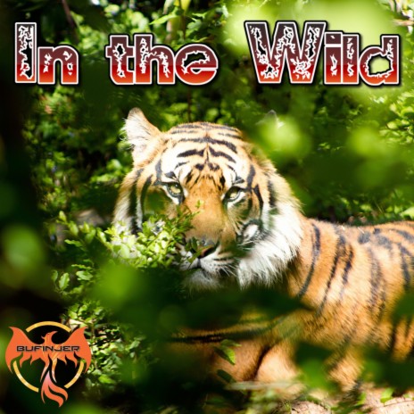 In The Wild | Boomplay Music