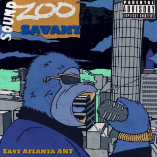 Sound Zoo Savant