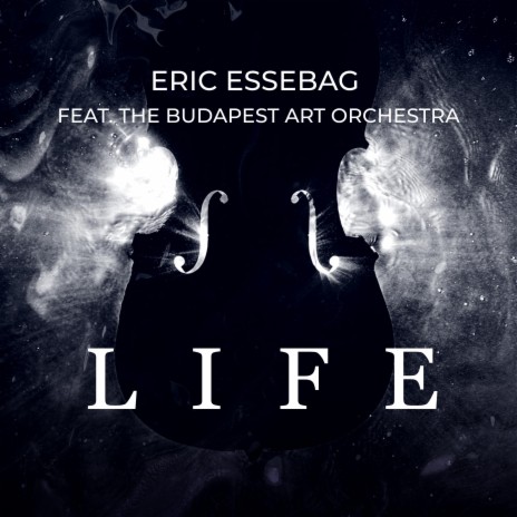 LIFE ft. Budapest Art Orchestra | Boomplay Music
