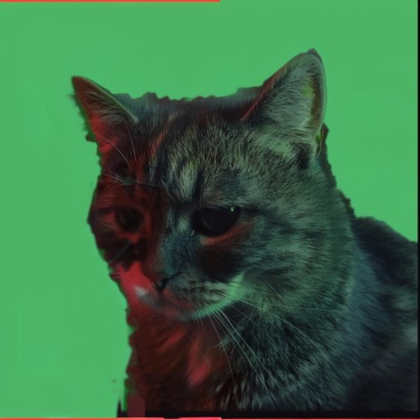 Sad Cat (Meowing) | Boomplay Music