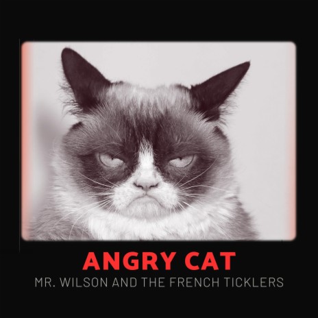 Angry Cat ft. the French Ticklers | Boomplay Music