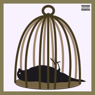 Cardboard Cage ft. TONIOBABI lyrics | Boomplay Music