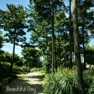 Beautiful Day (Beat Tape)