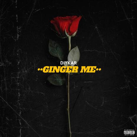 Ginger me | Boomplay Music