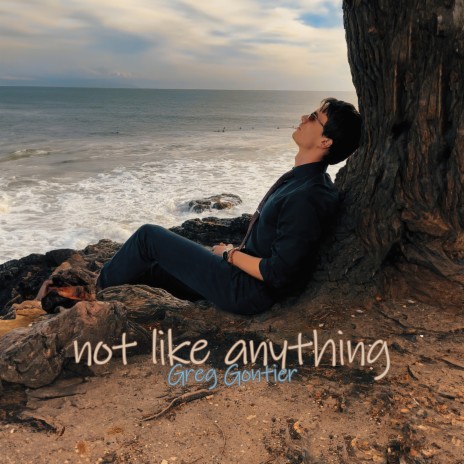 Not Like Anything | Boomplay Music