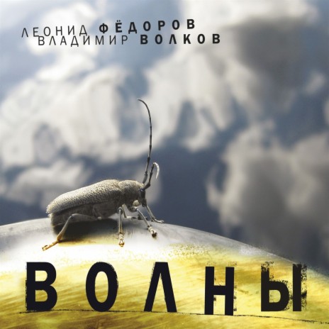 Вол НЫ ft. Владимир Волков | Boomplay Music