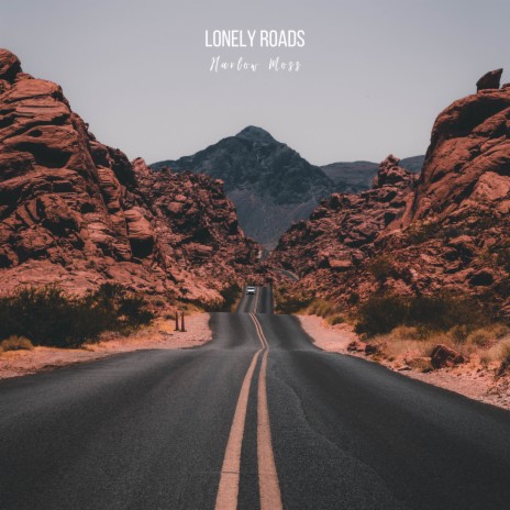 Lonely Roads | Boomplay Music