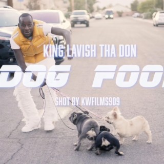 DOG FOOD lyrics | Boomplay Music
