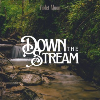 Down the Stream ft. Aiden Brown lyrics | Boomplay Music