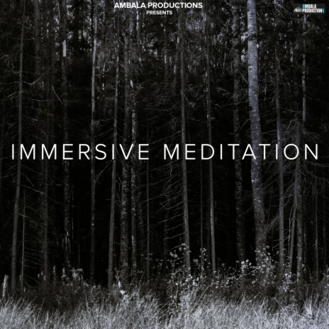 Immersive Meditation