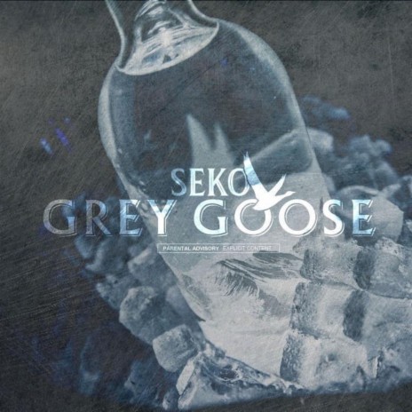 Grey Goose | Boomplay Music