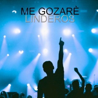 Me gozarè (En Vivo)