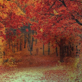 Autumn Embers lyrics | Boomplay Music