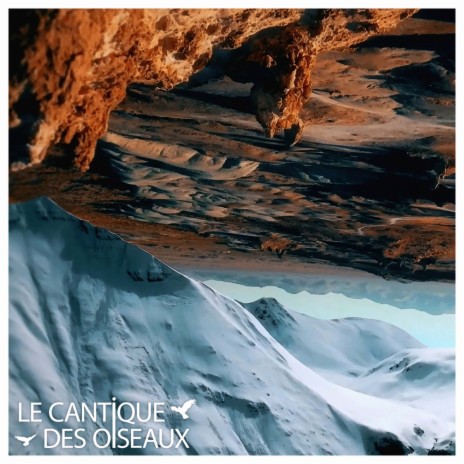 Le cantique des oiseaux | Boomplay Music