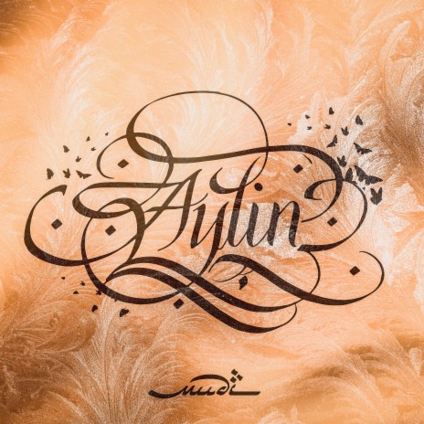 Aylin | Boomplay Music