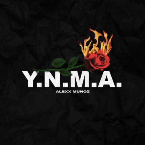 Y.N.M.A | Boomplay Music