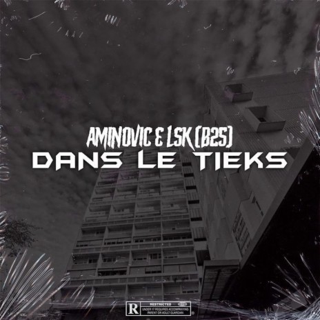 Dans le tieks (feat. Aminoviic) | Boomplay Music