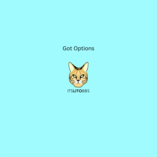 Got Options lyrics | Boomplay Music