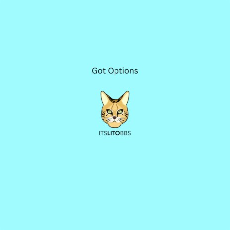 Got Options | Boomplay Music