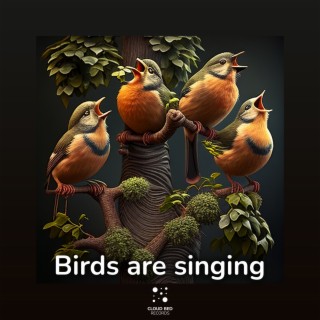 Birds Are Singing
