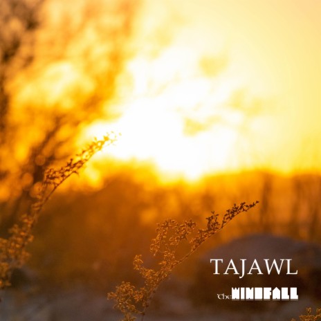 Tajawl (instrumental version) | Boomplay Music