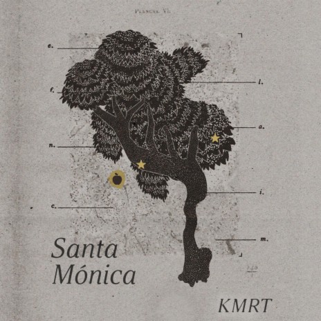 Santa Mónica | Boomplay Music
