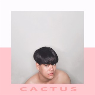 Cactus lyrics | Boomplay Music